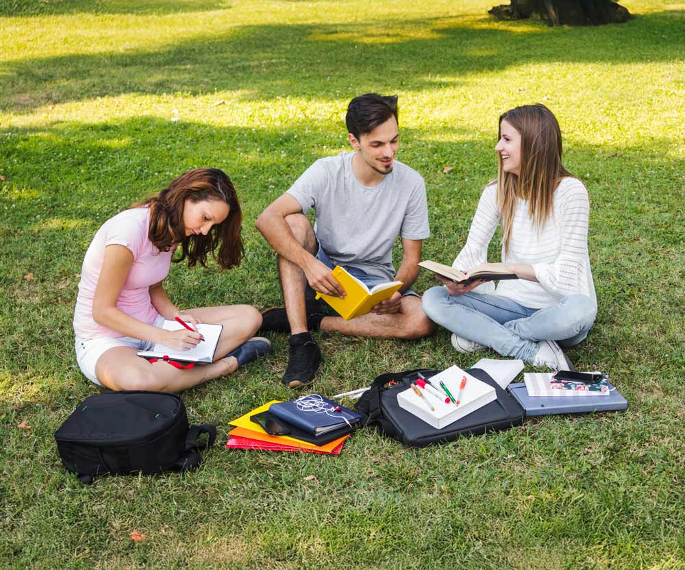 Drei Studenten sitzen auf einer Wiese im Park und lernen gemeinsam in freundlicher Atmosphaere nahe dem Studentenwohnheim Hildebrandstrasse Dresden